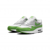 Nike Air Max 1 Patta 20th Anniversary Chlorophyll HF1012 300-2