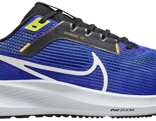 Nike Air Zoom Pegasus 40 DX2498 400