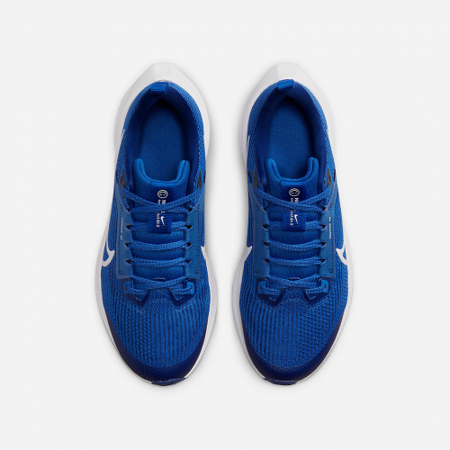 Nike Air Zoom Pegasus 40 DX2498 400 1500*1500-1