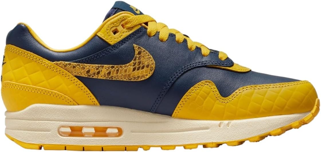 Nike Air Max 1 PRM ( référence : FJ5479-410)