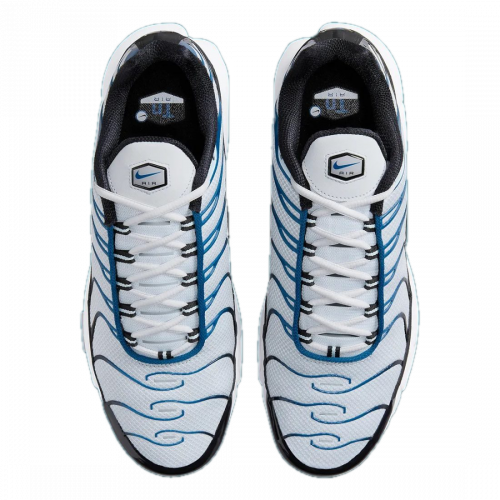 Nike Air Max Plus 'Pure Platinum Court Blue' FN6949001-5