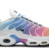 Nike Air Max Plus 'Summer Gradient'605112115
