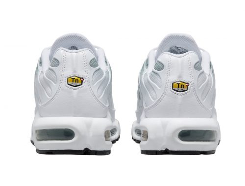 Nike Air Max Plus "Gradient Green"( Référence : DZ3670 100) – Image 5