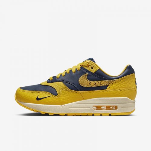 Nike Air Max 1 PRM ( référence : FJ5479-410) – Image 5