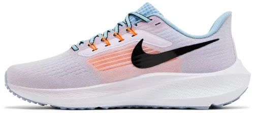 air zoom pegasus 39 DH4072-500 -2