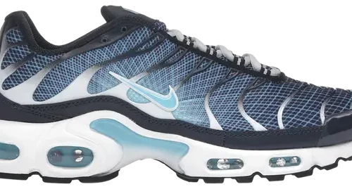 Nike Air Max Plus Dark Obsidian