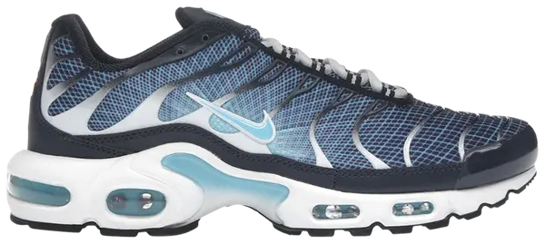 Nike Air Max Plus Dark Obsidian